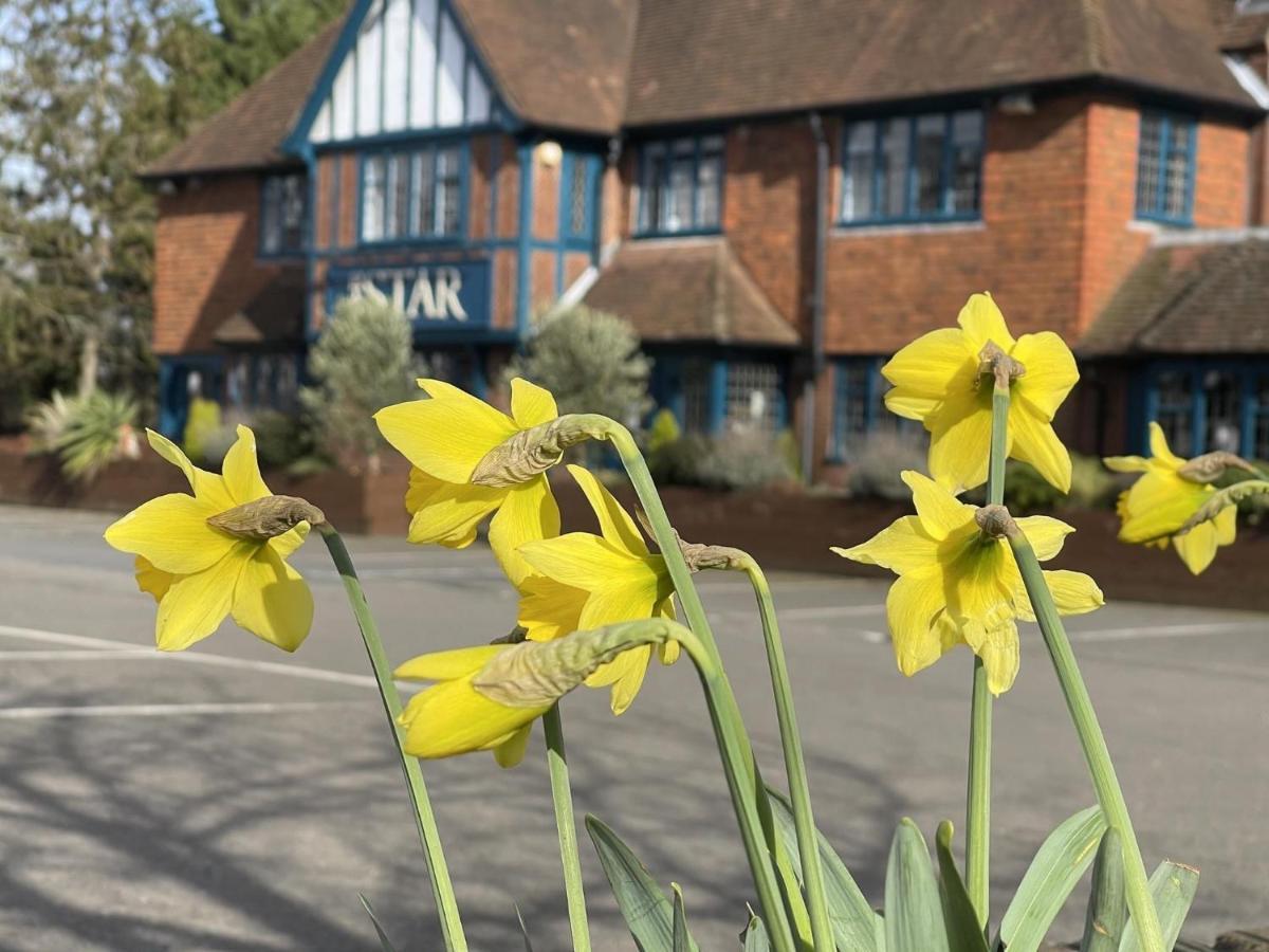 The Star Inn Lingfield Luaran gambar
