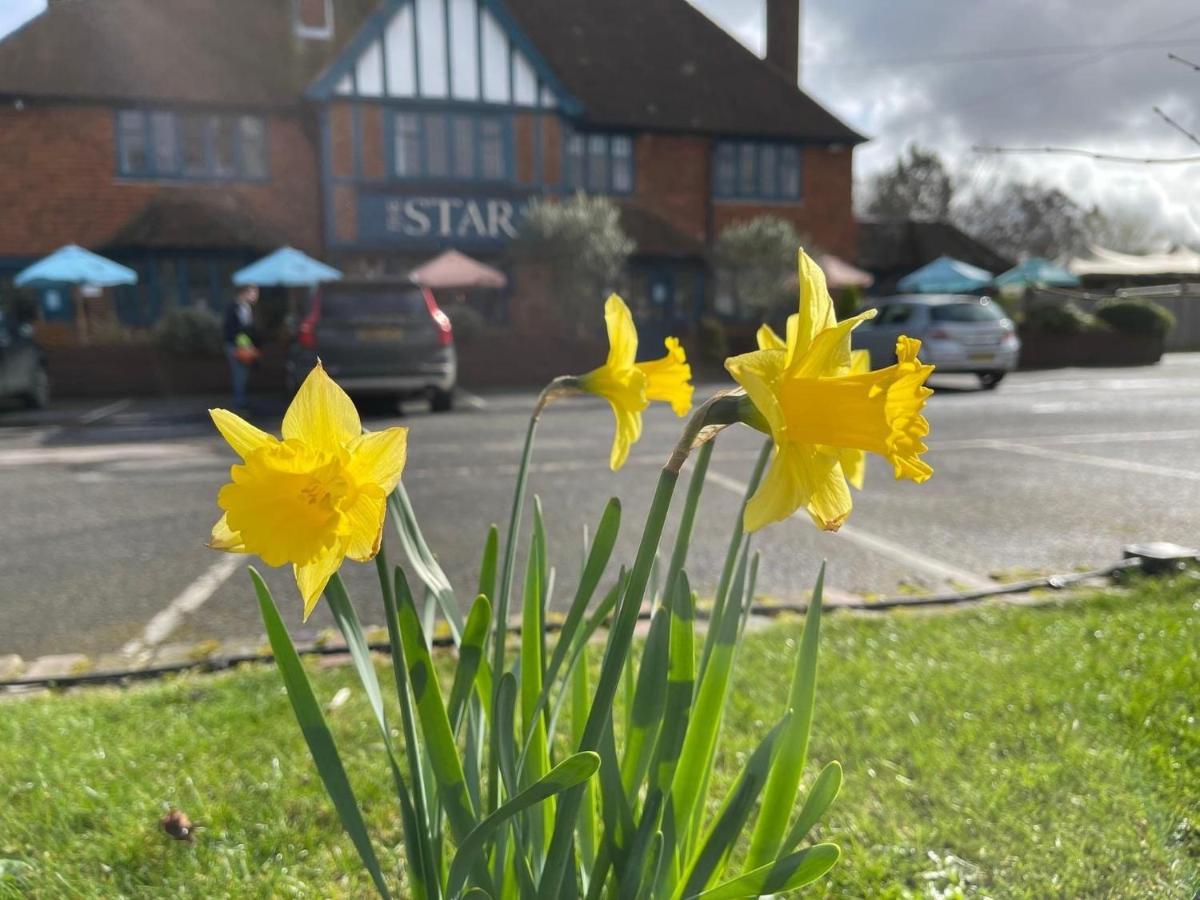 The Star Inn Lingfield Luaran gambar