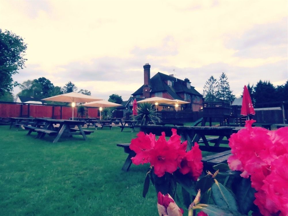 The Star Inn Lingfield Luaran gambar